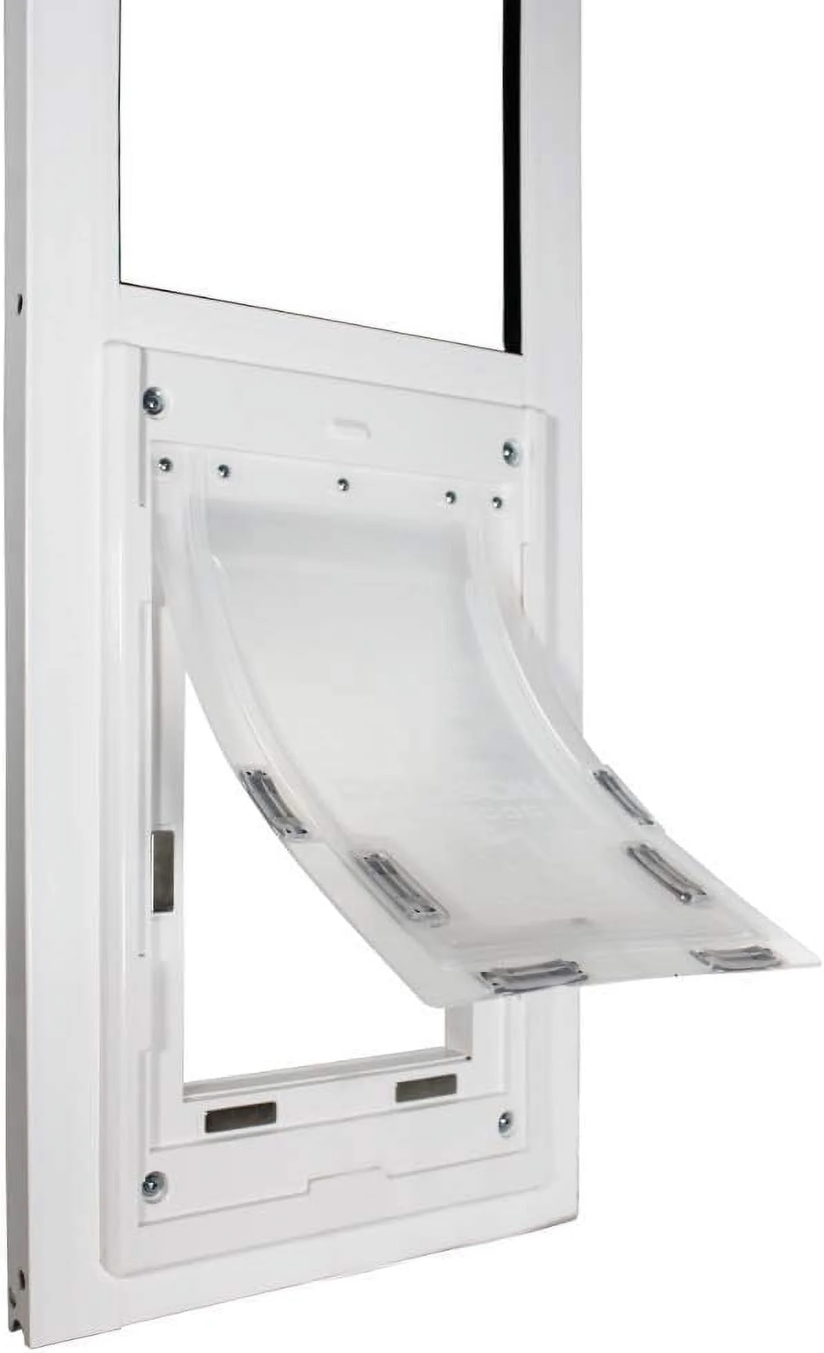 Pure cotton T-shirt summer round neck casual versatile women's top T Shirt 2024