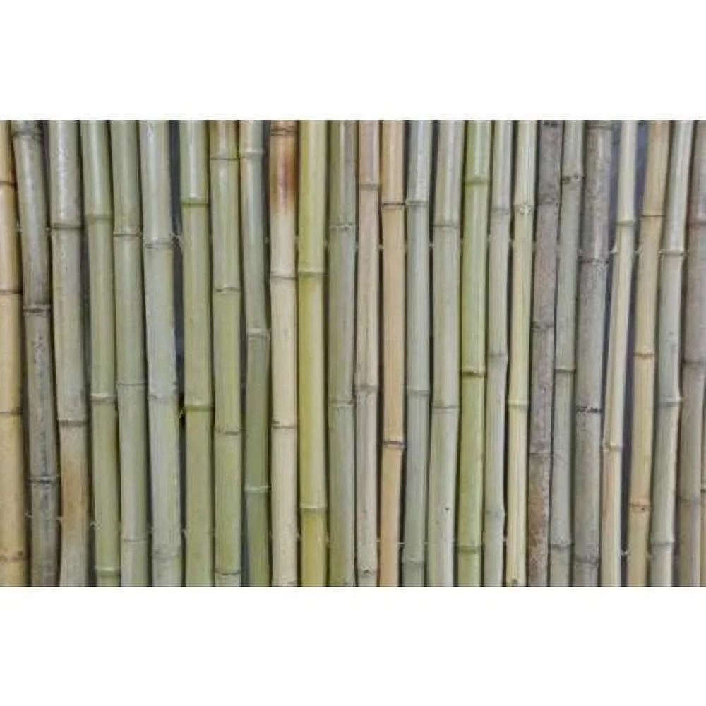Tonkin Bamboo Fence 4'H X 6'L