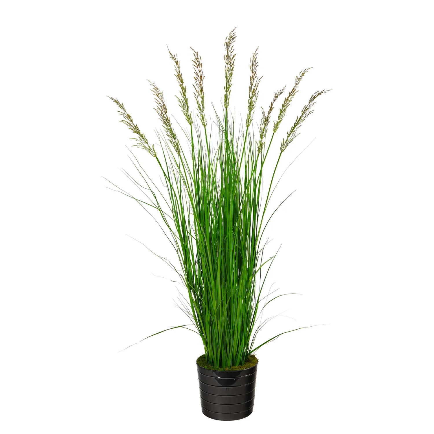 HomeStock Farmhouse Fresh 6Ft. Grass Artificial Plant In Black Tin Planter