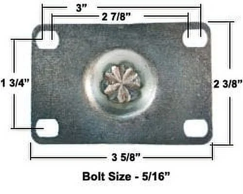 Stainless Steel Swivel Casters - 5