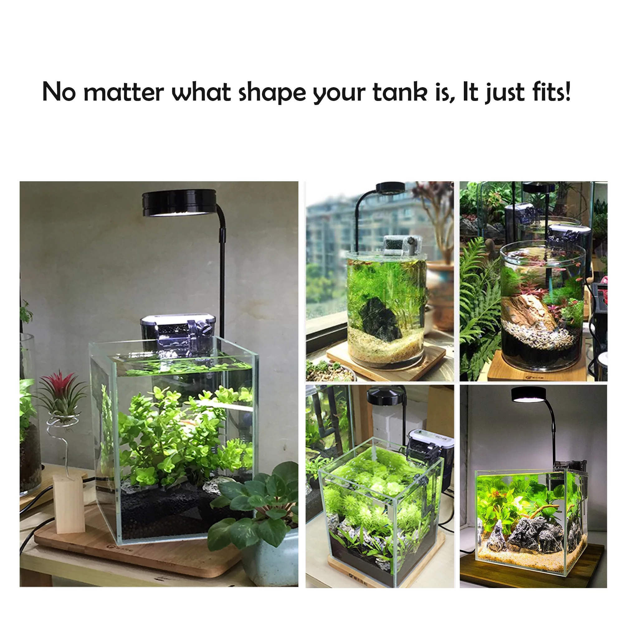 Full Spectrum LED Light with Bamboo Board, fits Aquarium Nano Tank, Betta Fish Tank, Potted Plants, Succulent, Miniature Landscape (5W)