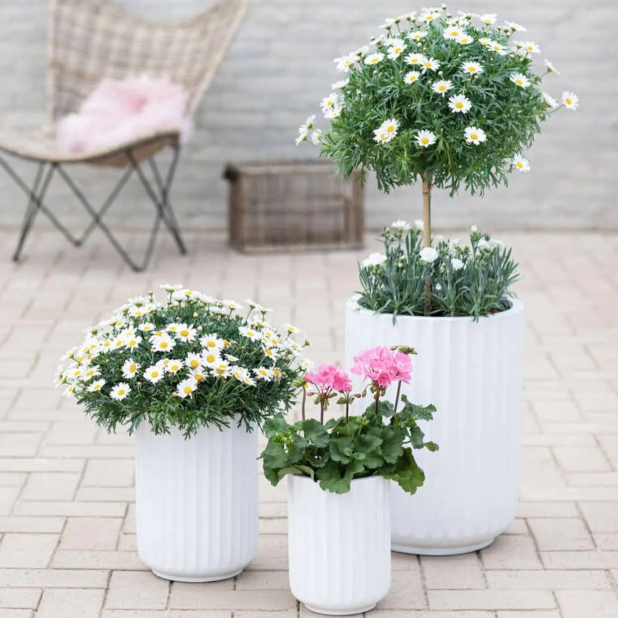 DTY Signature Mount Elbert  1-piece Fluted Fiberstone Planter 14