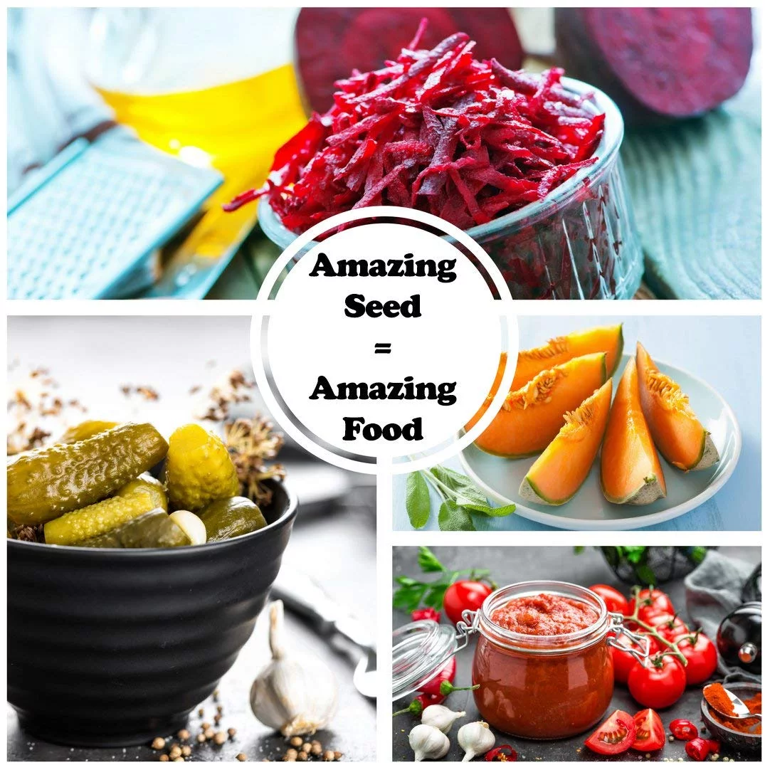 Sustainable Seed Instant Garden, Heirloom Vegetable, and Herb Seed Collection - 15 Varieties Non-GMO Heirloom Garden Vegetable Seeds (w/ Coco Coir Pellets)