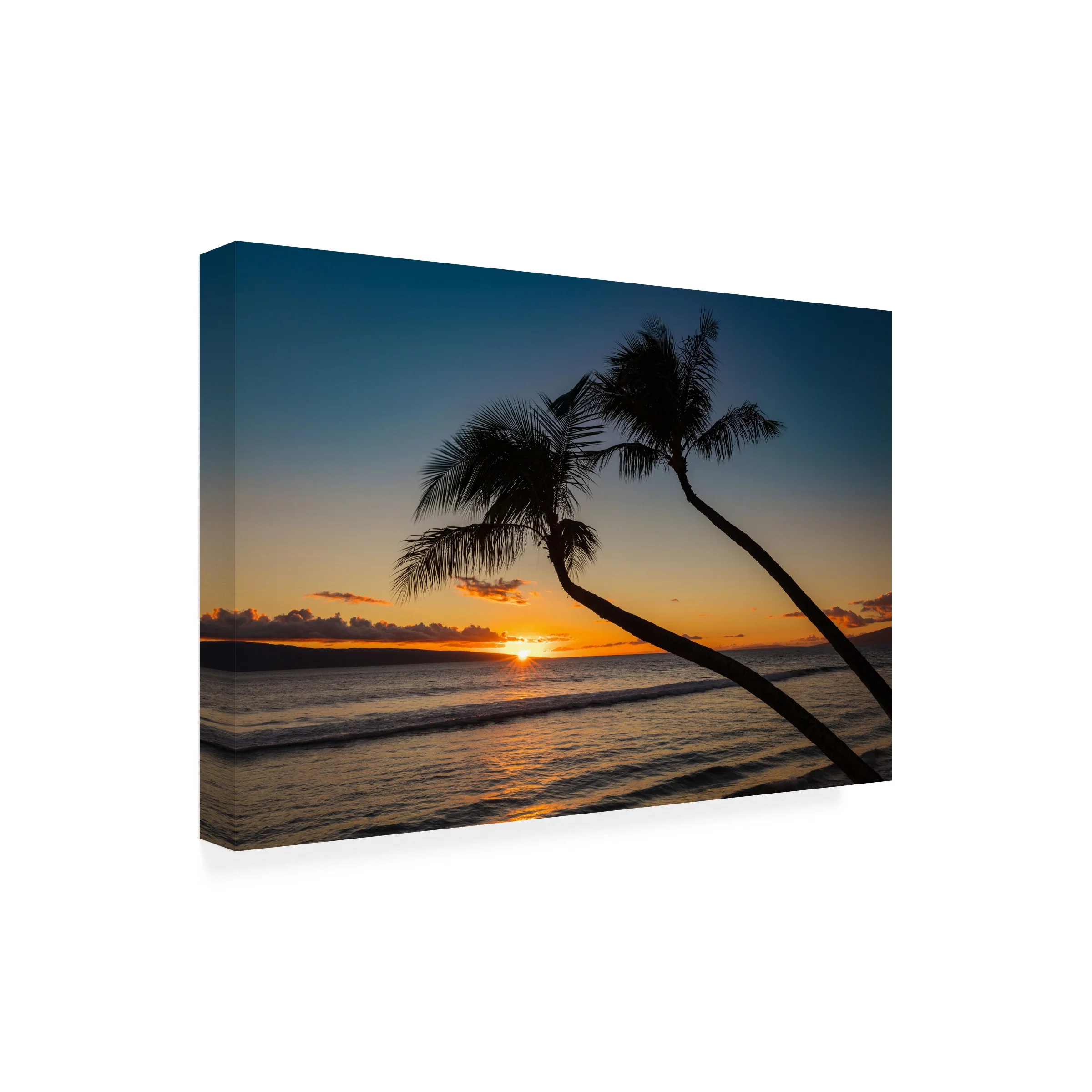 Pierre Leclerc 'Silhouette of the Tropics' Outdoor Canvas 12x19