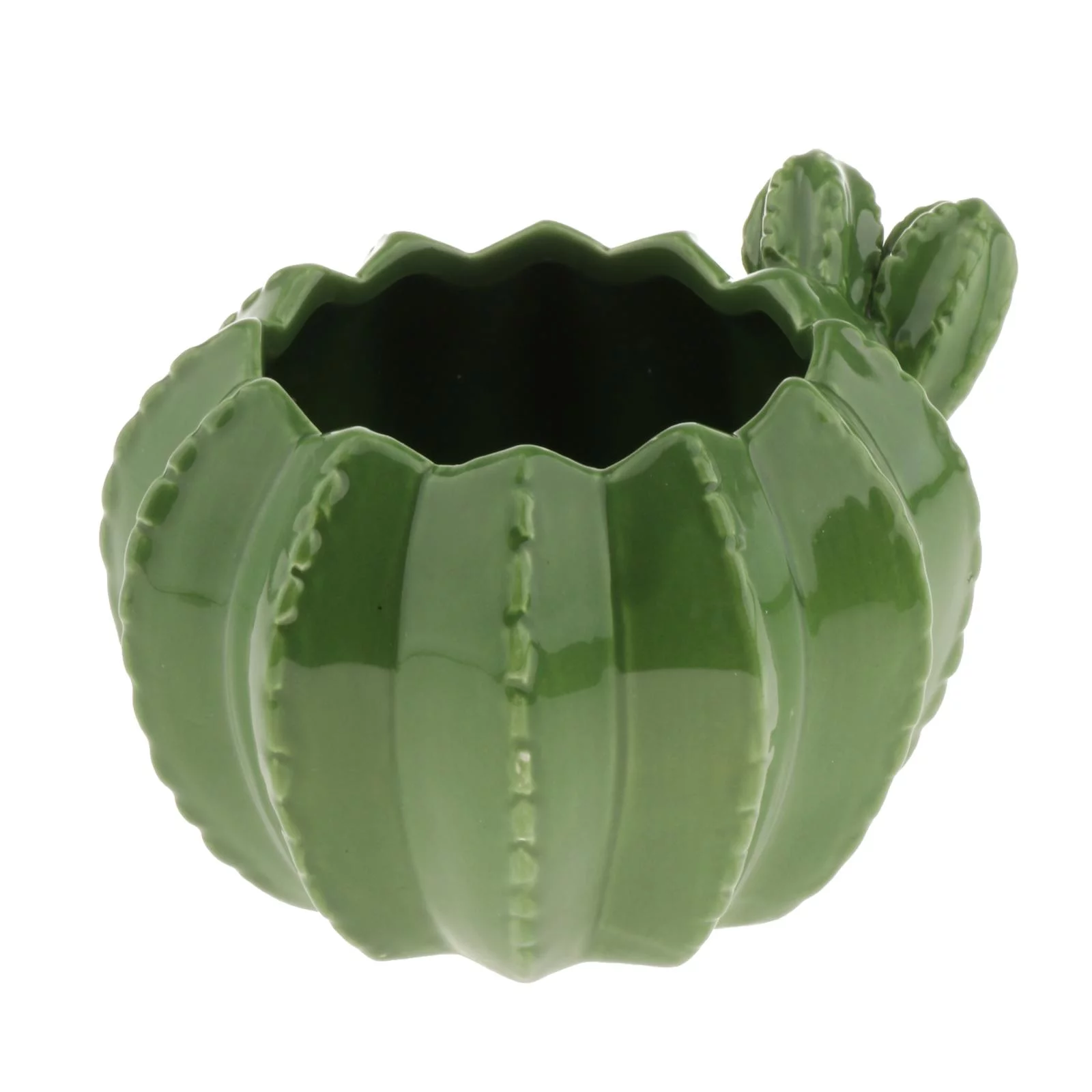 Ceramic Succulent Plant Pot/Cactus Plant Pot Flower Pot/Container/Planter