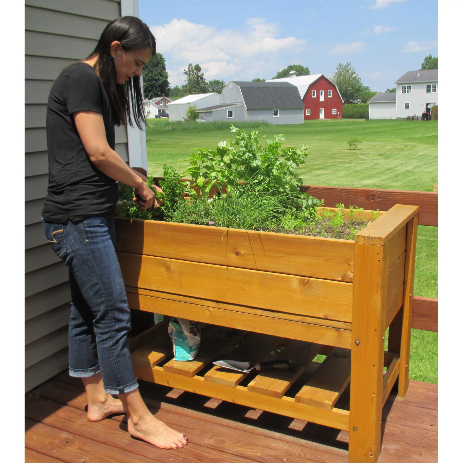 Infinite Cedar Elevated Planter Box with Shelf