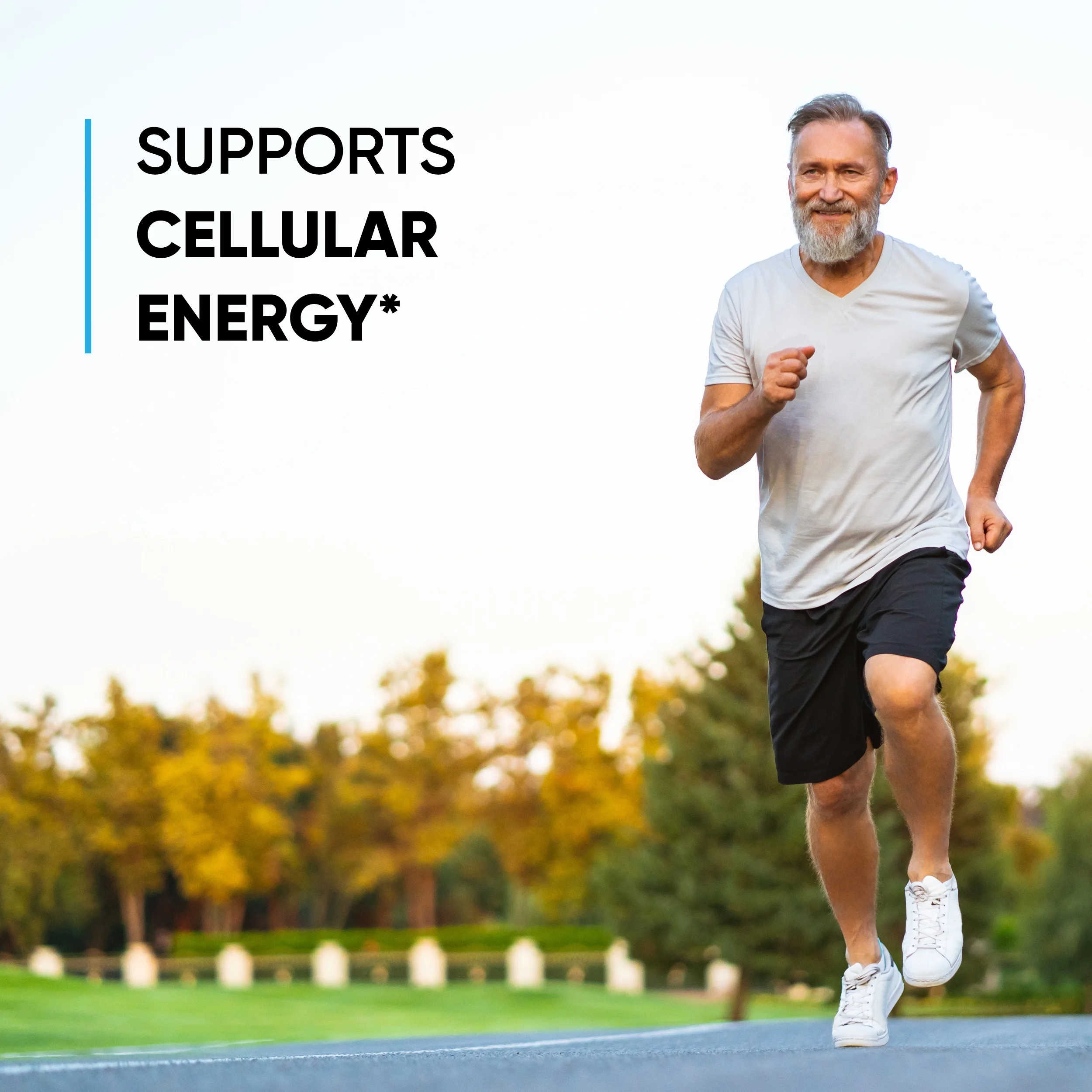 Sandhu's Magnesium Glycinate - Chelated Magnesium for Maximum Absorbing - Supports Relaxation & Cellular Energy - 60 Vegetarian Capsules