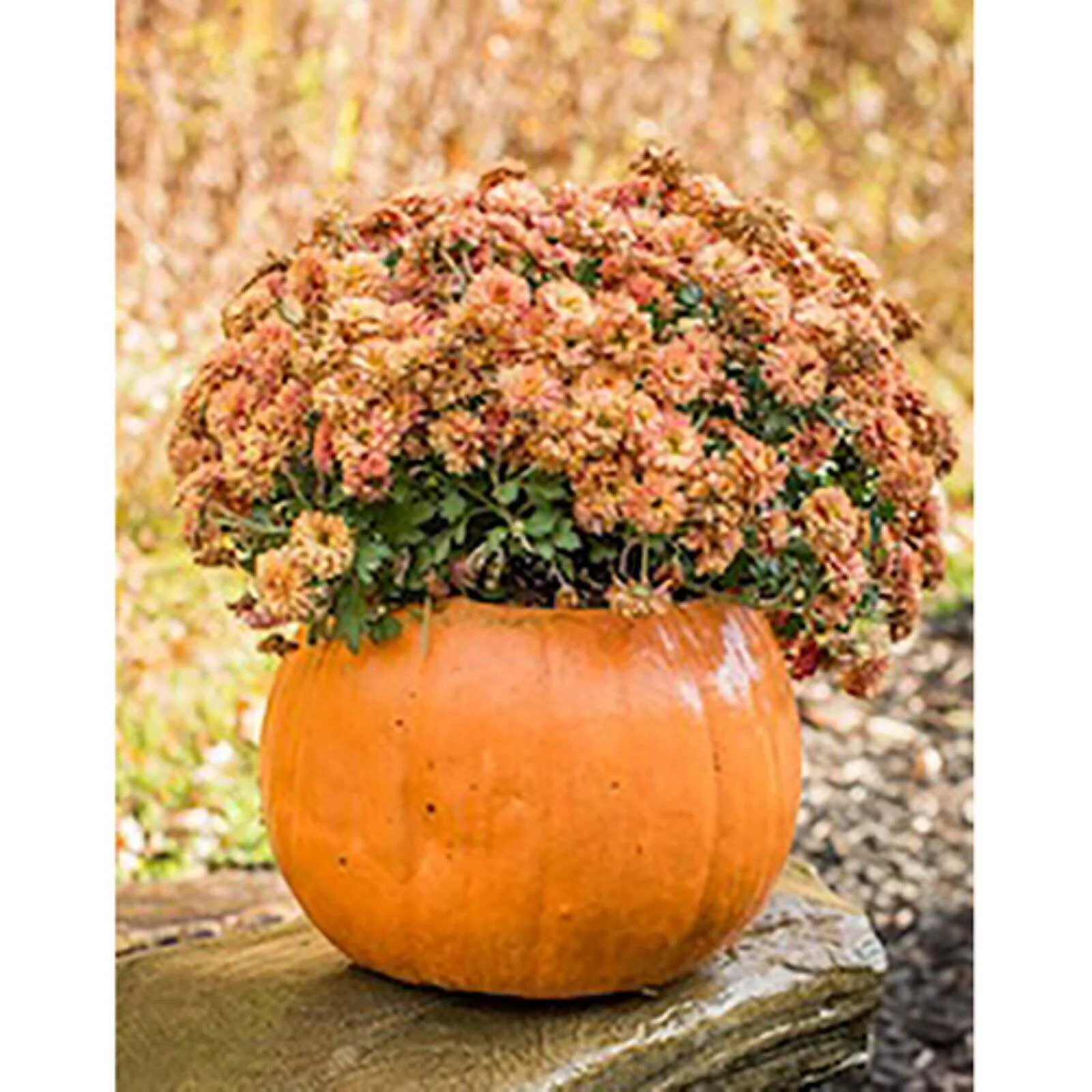 Athena Garden Pumpkin Planter - Set of 3