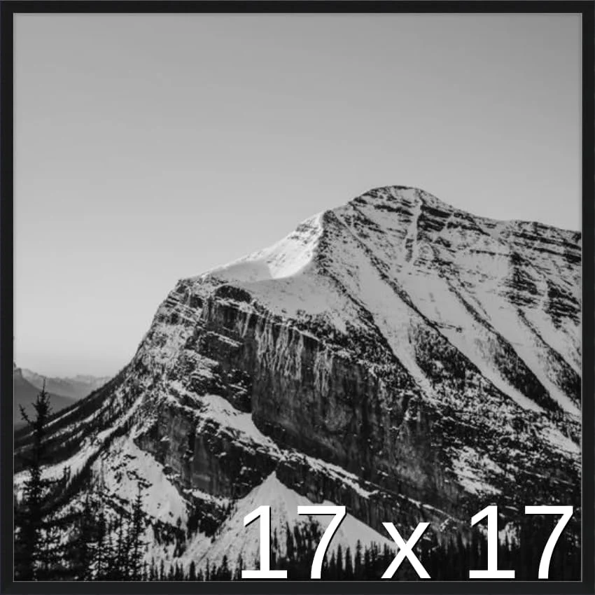 17 X 17 5/8 Black Metal Frame (Ashford) 17X17.6 Inches