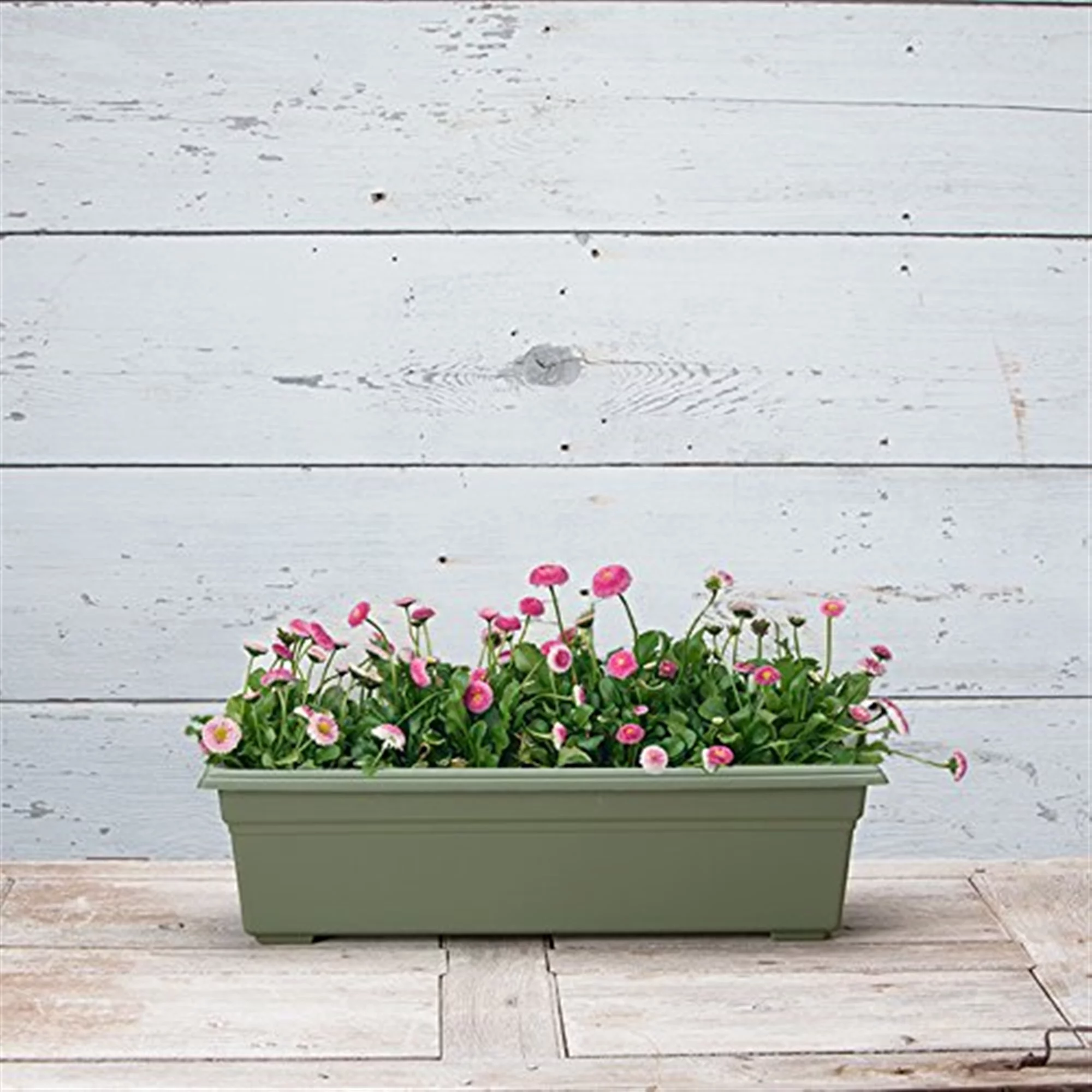 Novelty Countryside 24 In. Plastic Sage Flower Box Planter 16240