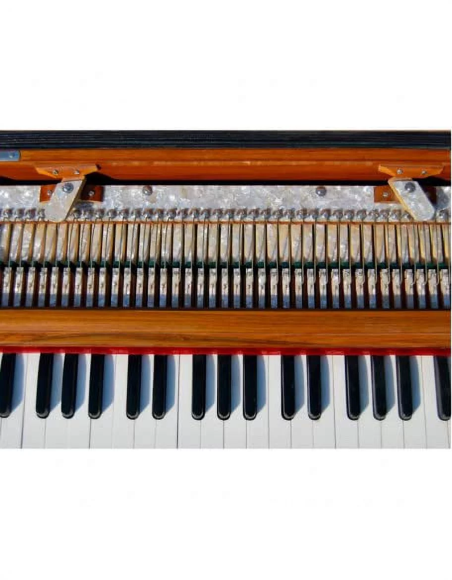 Folding Harmonium Instrument, 3.5 octaves, Portable Harmonium Tuned