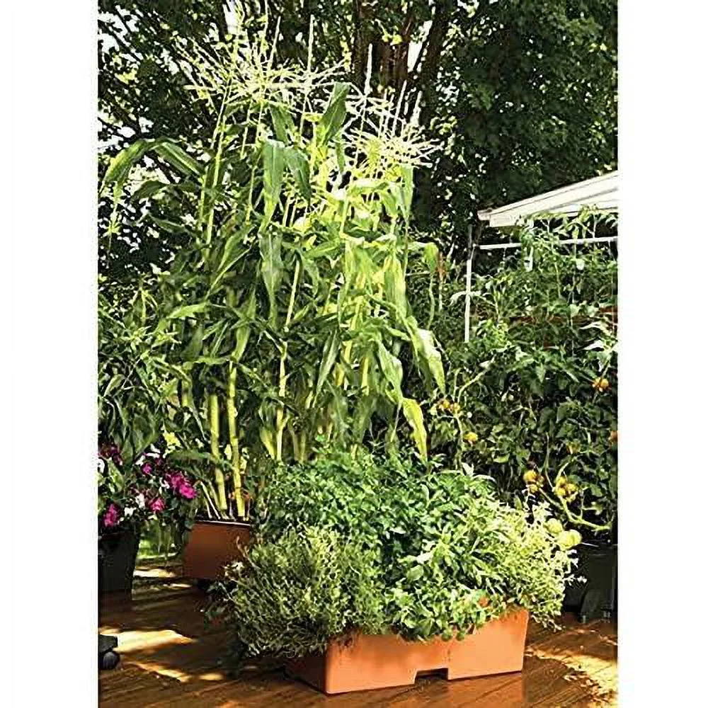 garden kit,terracotta (pack of 2, standard)