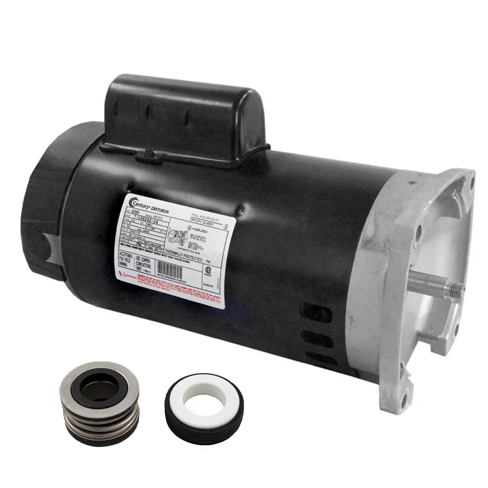 Puri Tech Motor and Seal Replacement Kit for AO Smith B2858 and PS-200 Seal Kit