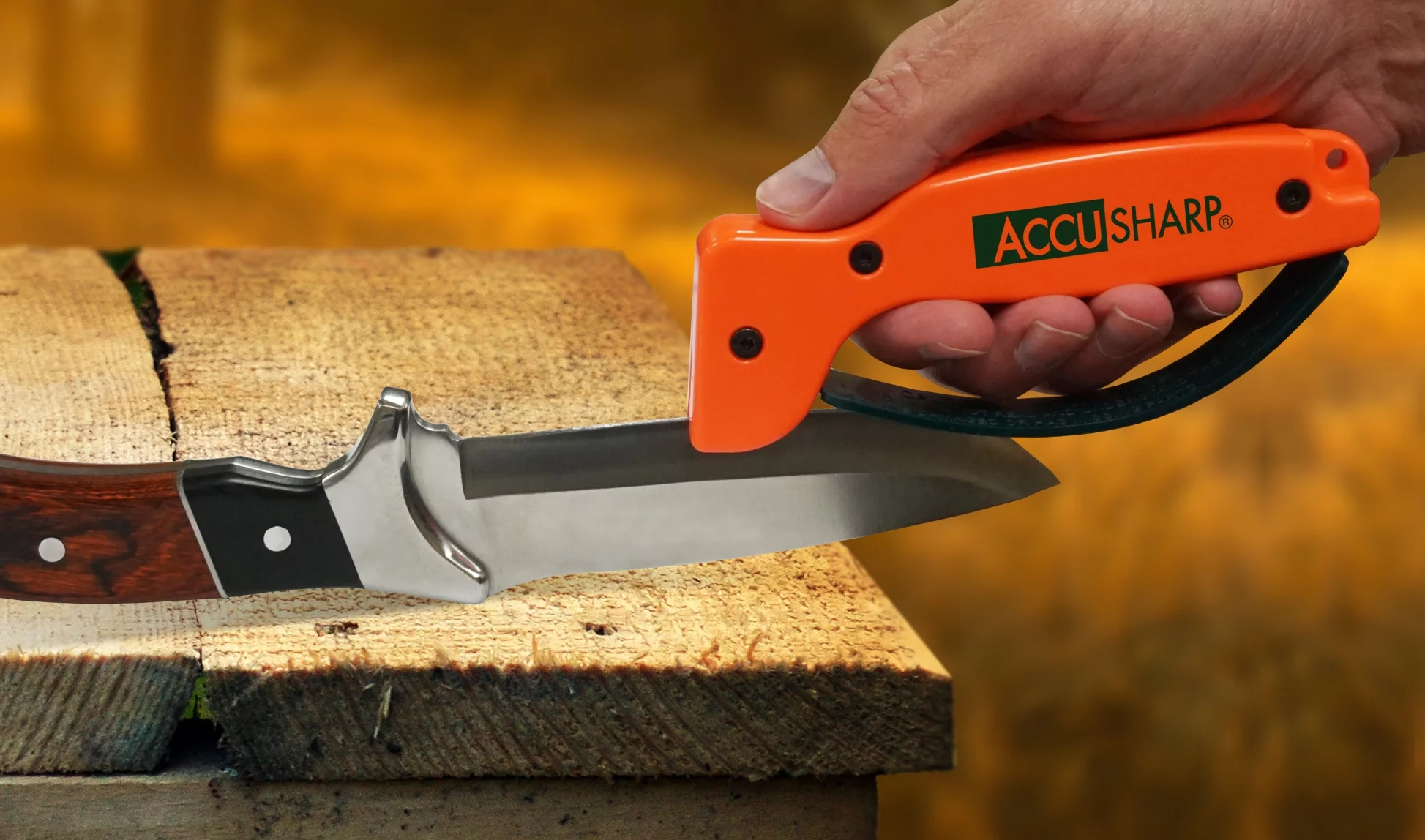 AccuSharp Knife Sharpener Orange