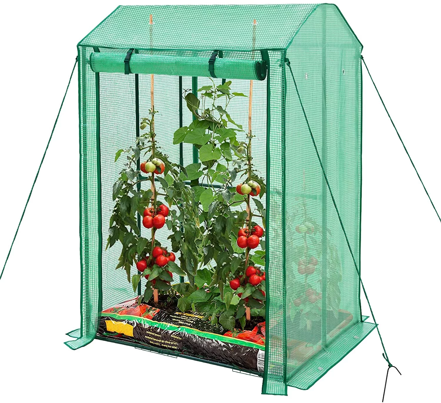 EAGLE PEAK Outdoor Greenhouse with Double Roll-up Zippered Doors, Vertical Cold Frame Grow House for Vegetables, Flowers, 39'' x 32'' x 59'', Green (Double Growbag)