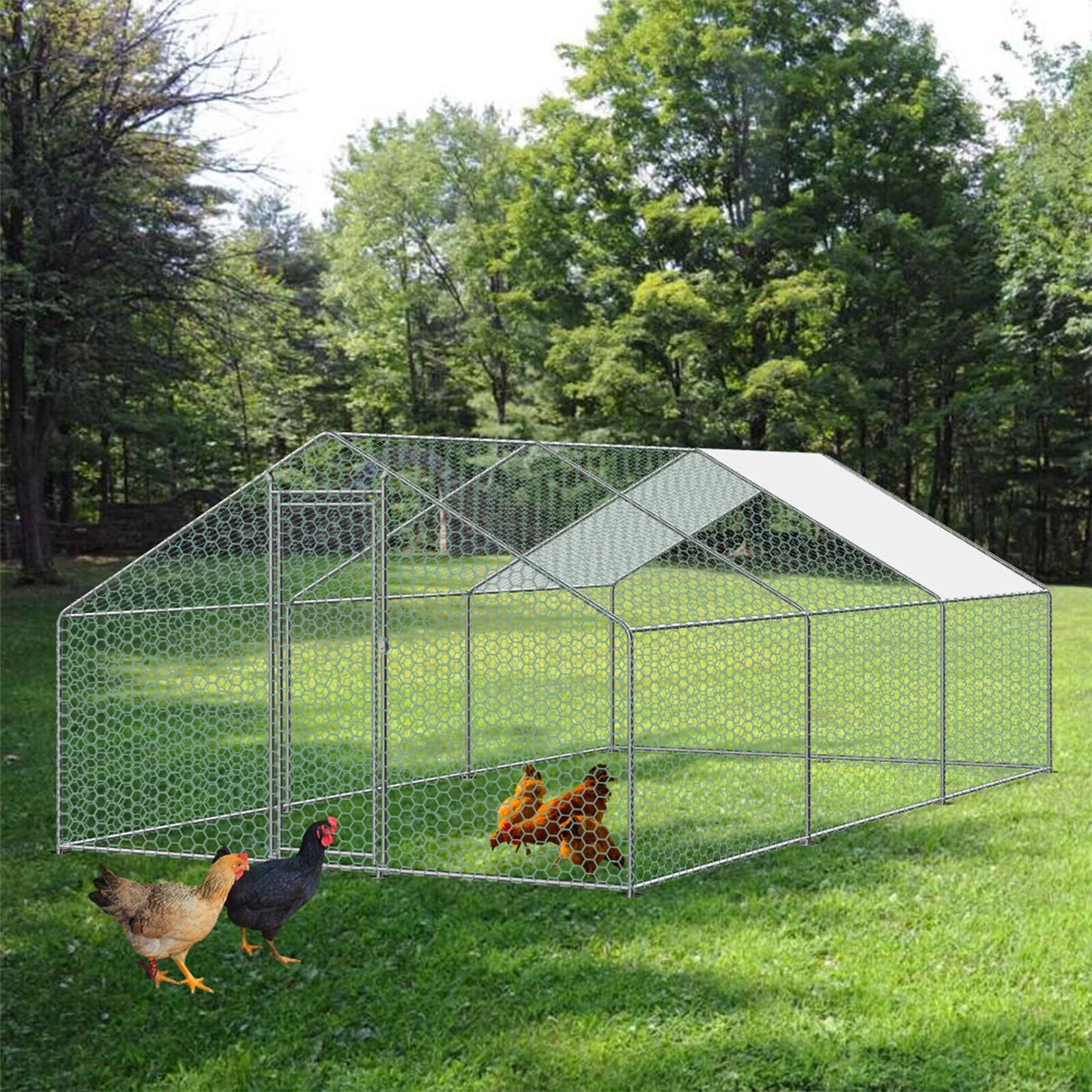 Large Walk in Chicken Run Coop Hen House Enclosure Backyard Poultry Cage Cover 20'x10'
