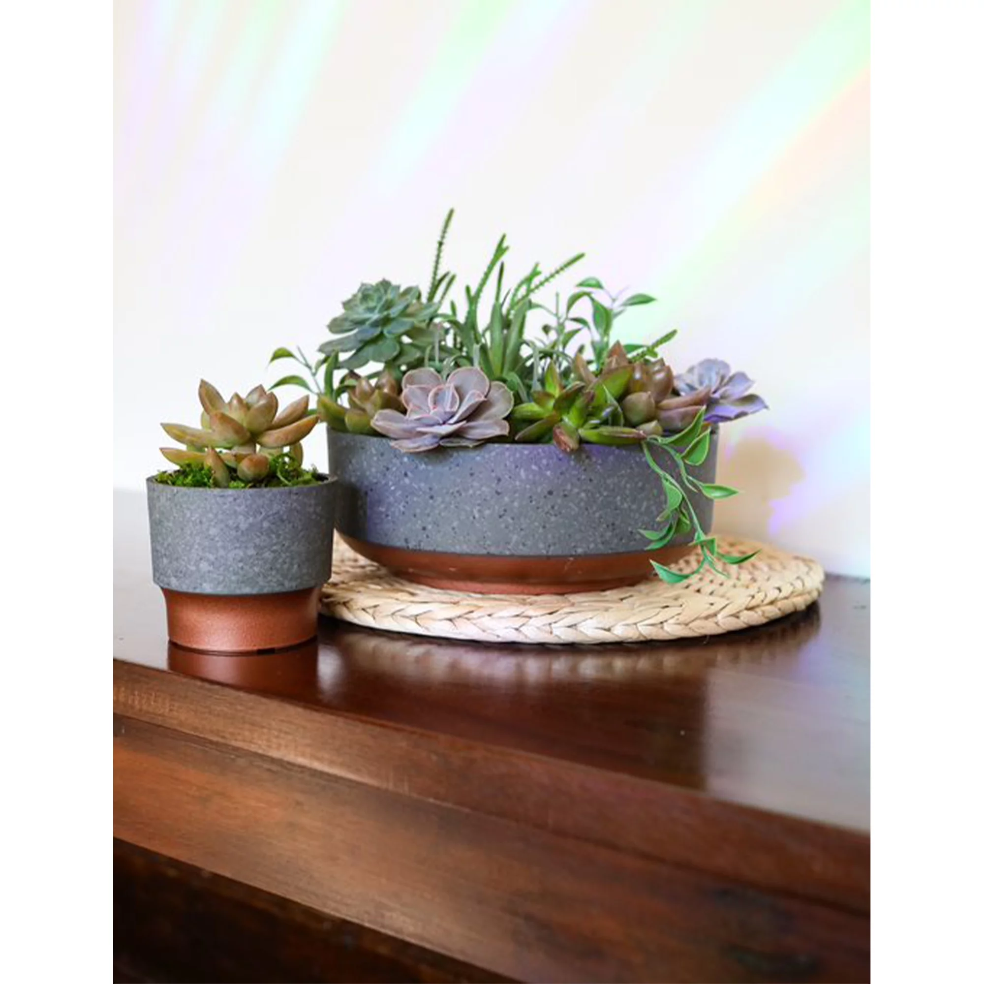The HC Companies 3in Sprite Planter Pot, Faux Concrete Copper (2 Pack)