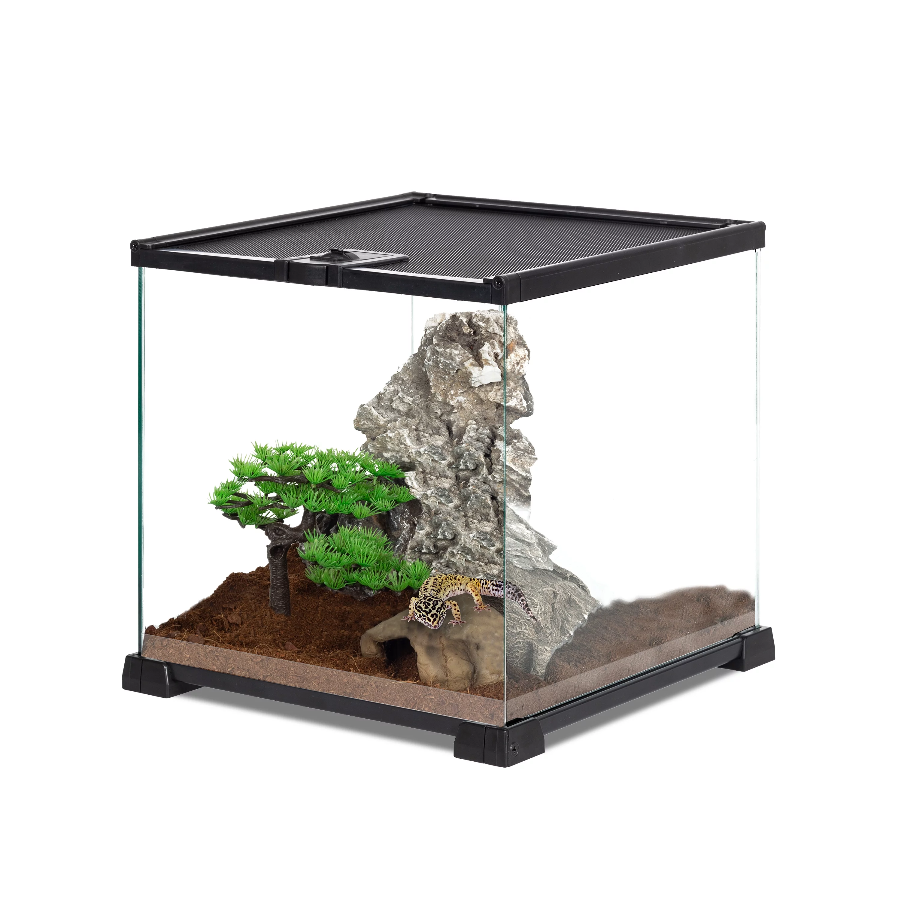 REPTI-ZOO Glass Mini 8 Gallon Reptile Terrarium 12