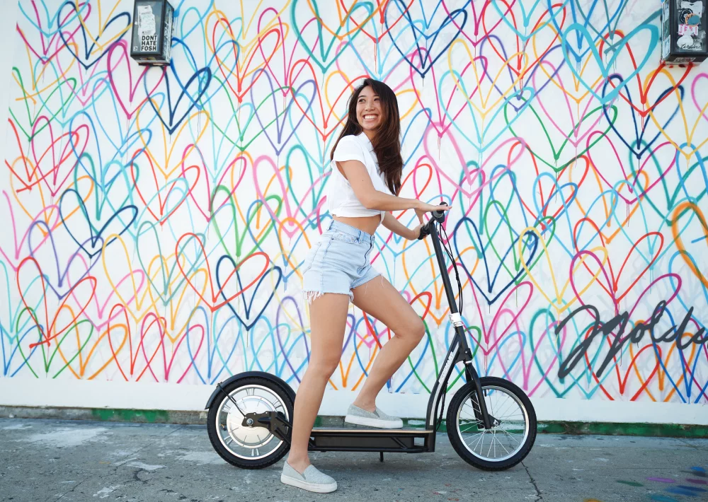 EcoSmart SUP Electric Scooter for Adult – Black, 16