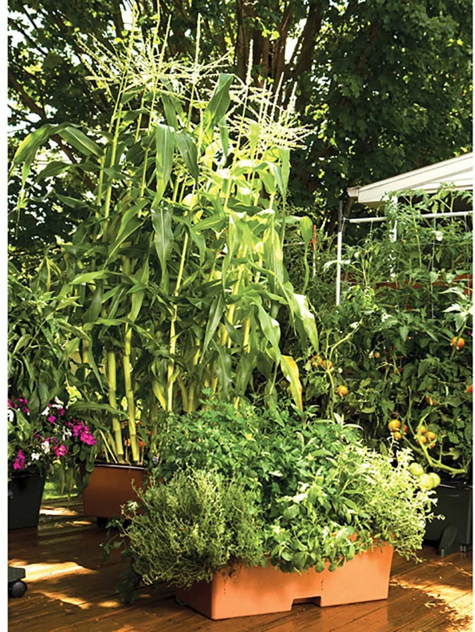 Novelty (#80105) EarthBox Planter Garden Kit - Terra Cotta