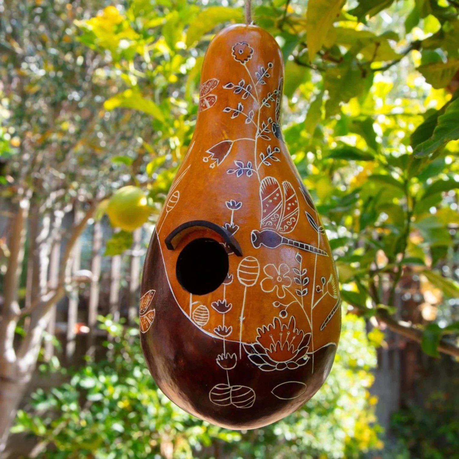 Dragon Fly Gourd Bird House