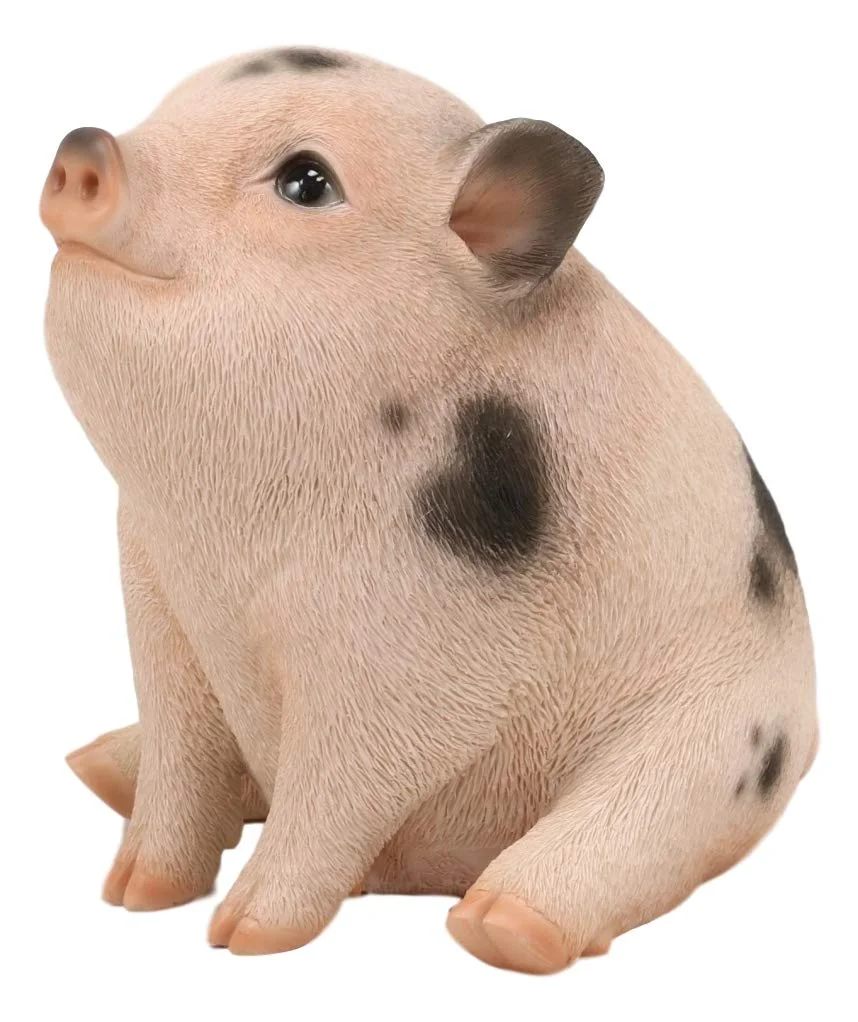 Ebros Napoleon Fat Piglet Pig Statue 6