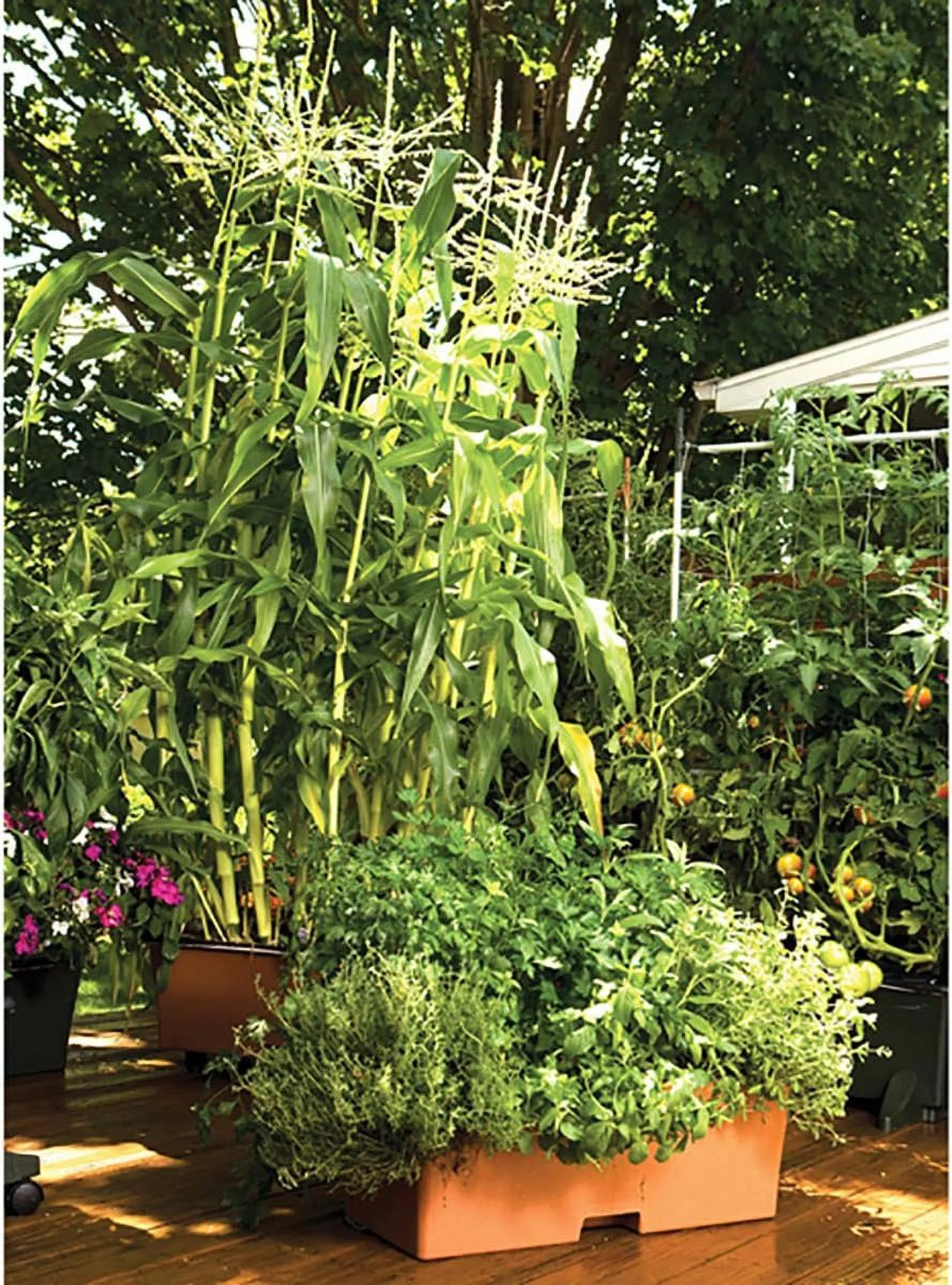 EarthBox 80105 Garden Kit, Standard, Terracotta