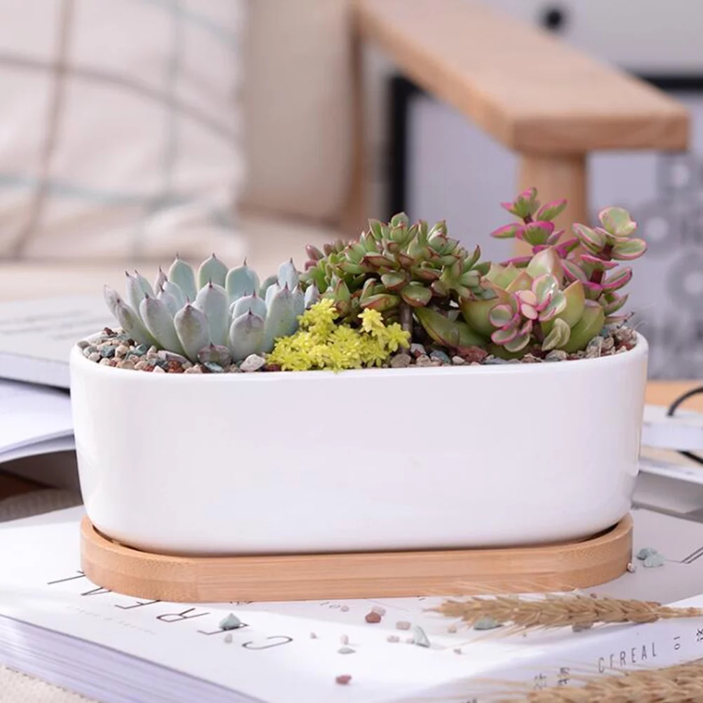Guichaokj 2pcs Ceramic Succulent Bonsai Plant Pot Cactus Flower Planter with Bamboo Saucer