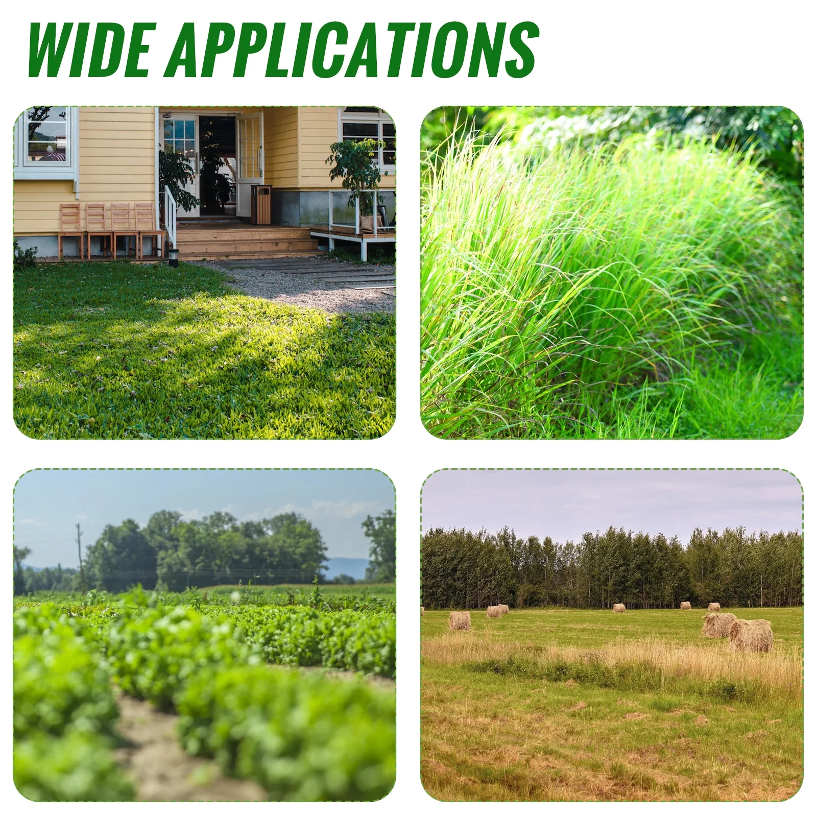 Electric 650W Weed Lawn Edger, Battery Weed Eater, Weed Wacker Electric, Cordless Grass Trimmer Cutting Tool & 2 Battery, Weed Trimmer for Yards Garden, Green