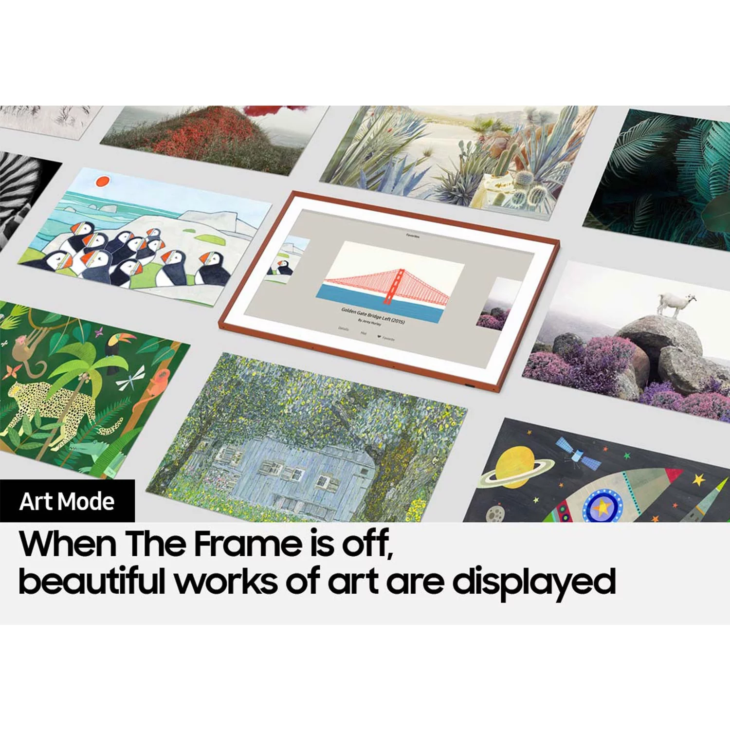 Samsung QN50LS03BA 50