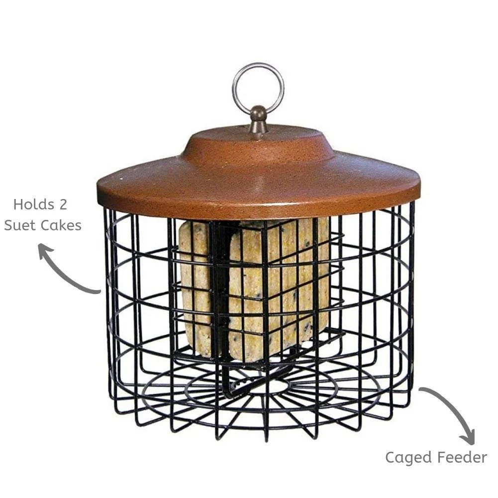 Hiatt Manufacturing Squirrel-X Squirrel Proof Double Suet Feeder, Cage Bird Feeder, 2 Suet Cake Capacity