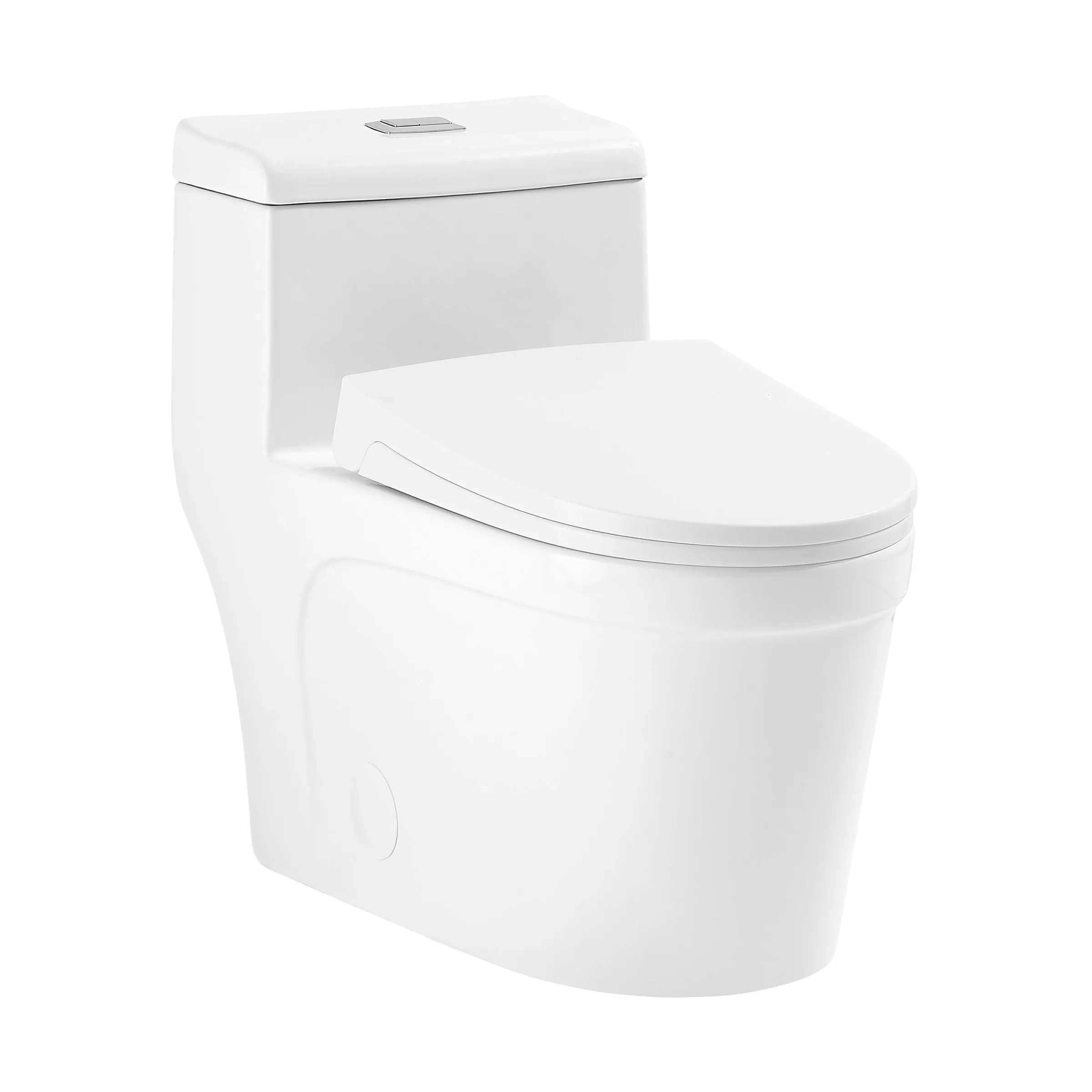 Alessio One-Piece Elongated Toilet Vortex Dual-Flush 1.1/1.6 gpf