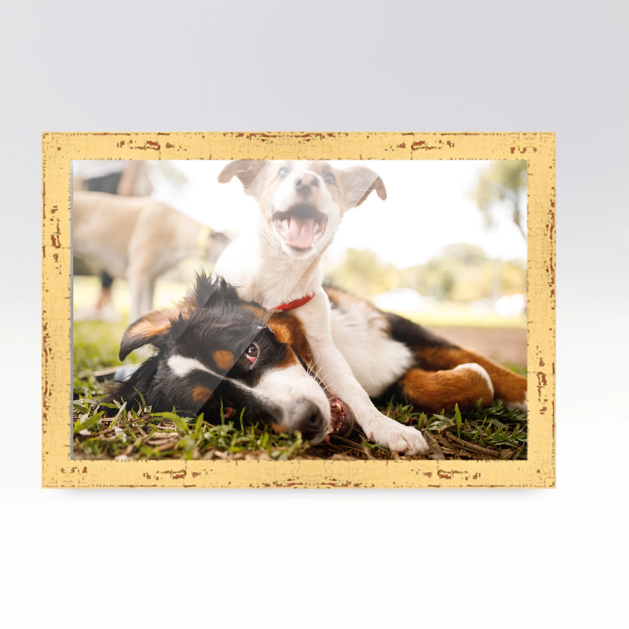 14x18 Frame Yellow Real Wood Picture Frame Width 1.25 inches | Interior Frame Depth 0.5 inches |