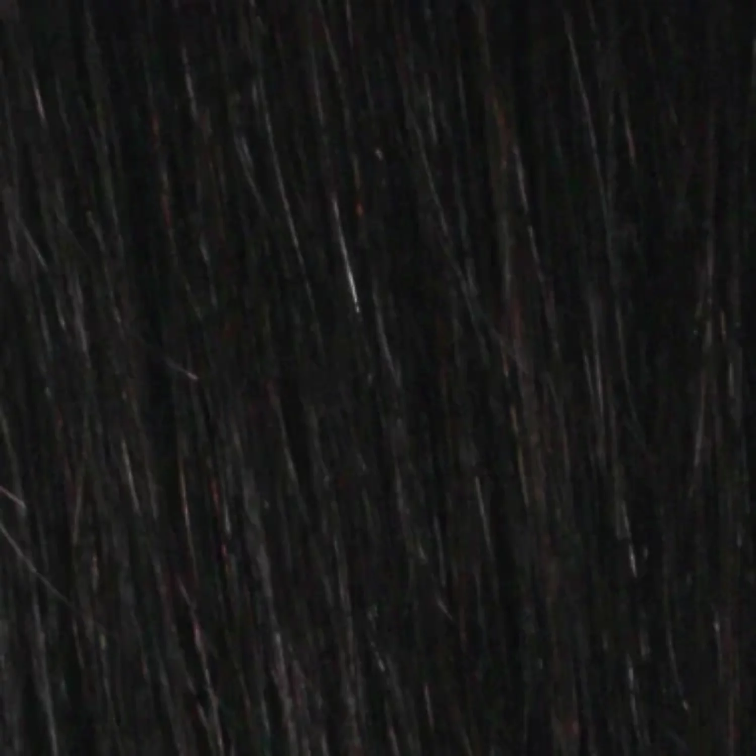 Urban Beauty Queen B Braiding Hair 60 3+1 Multipack