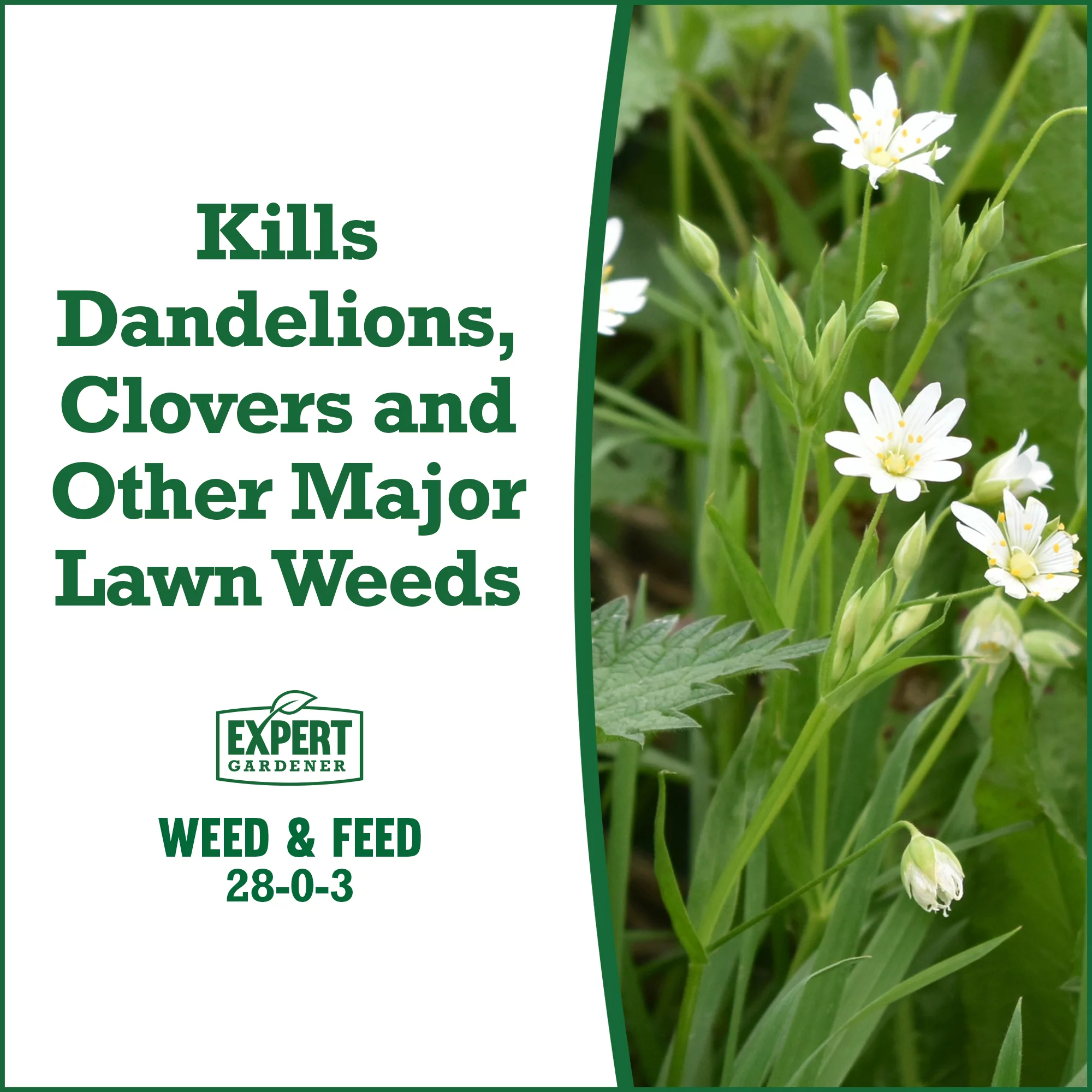 Expert Gardener Weed and Feed Lawn Food, 28-0-3 Fertilizer, 39.2 lb. - Covers 15,000 Sq. ft.