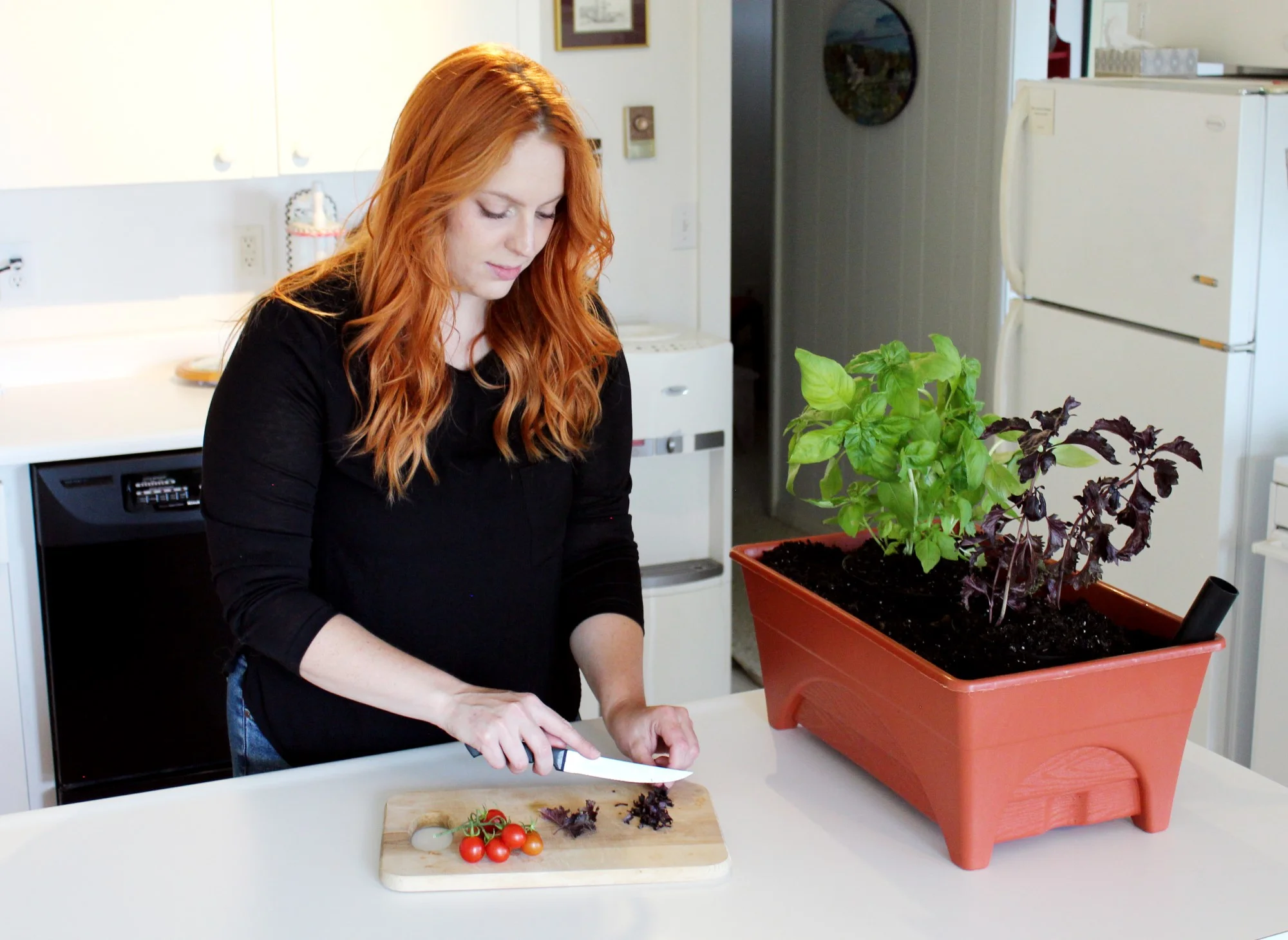 Start Pickin' Raised Bed Grow Box ? Self Watering and Improved Aeration ? Starter Box or Small Herb Garden Growing - 10