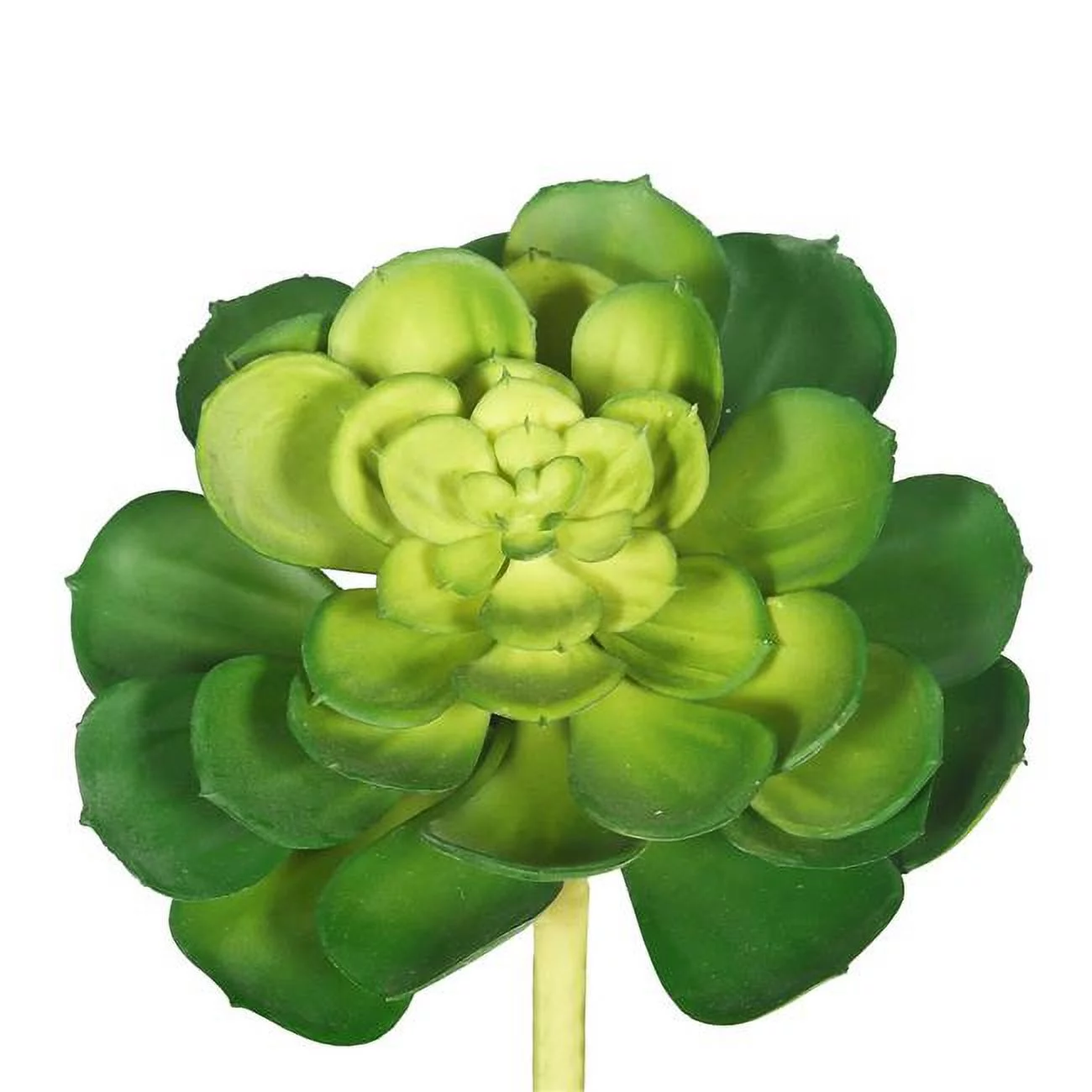 Green Plastic Plant Succulent - Pack of 6