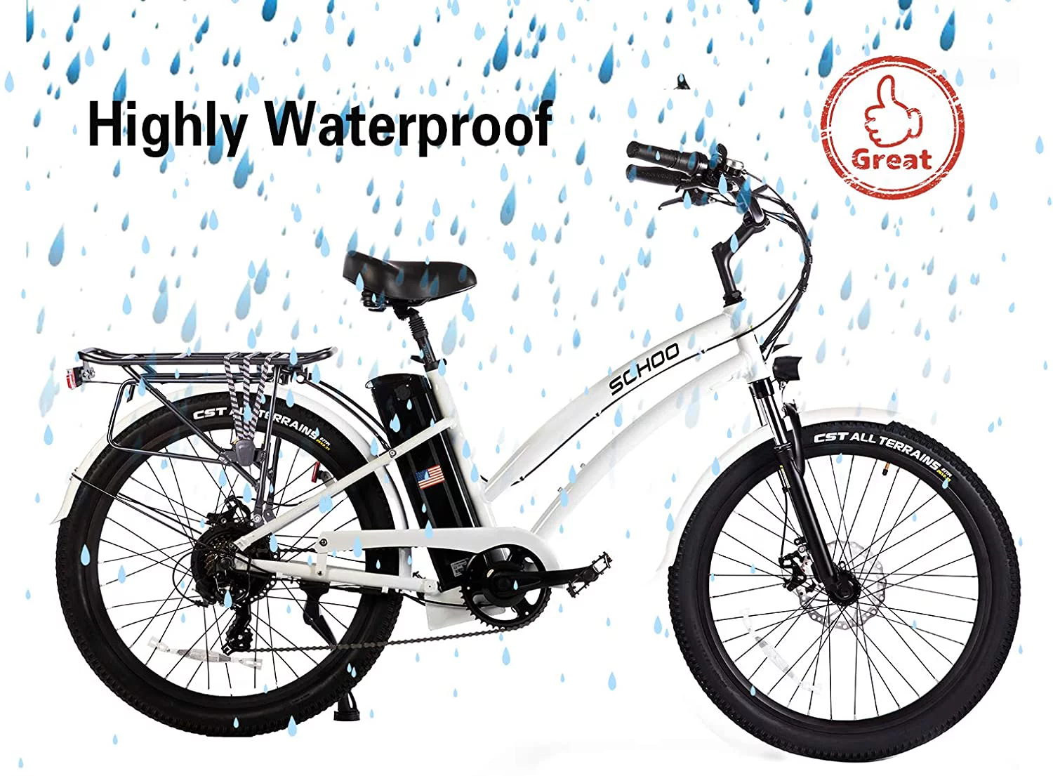 SOHOO 48V500W13Ah 26