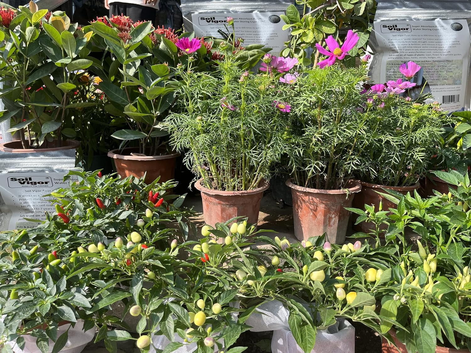 15 Pounds of Fine Granule Potassium Super Absorbent Polymer: Water Retention Solution for Farming, Agriculture, and Horticulture