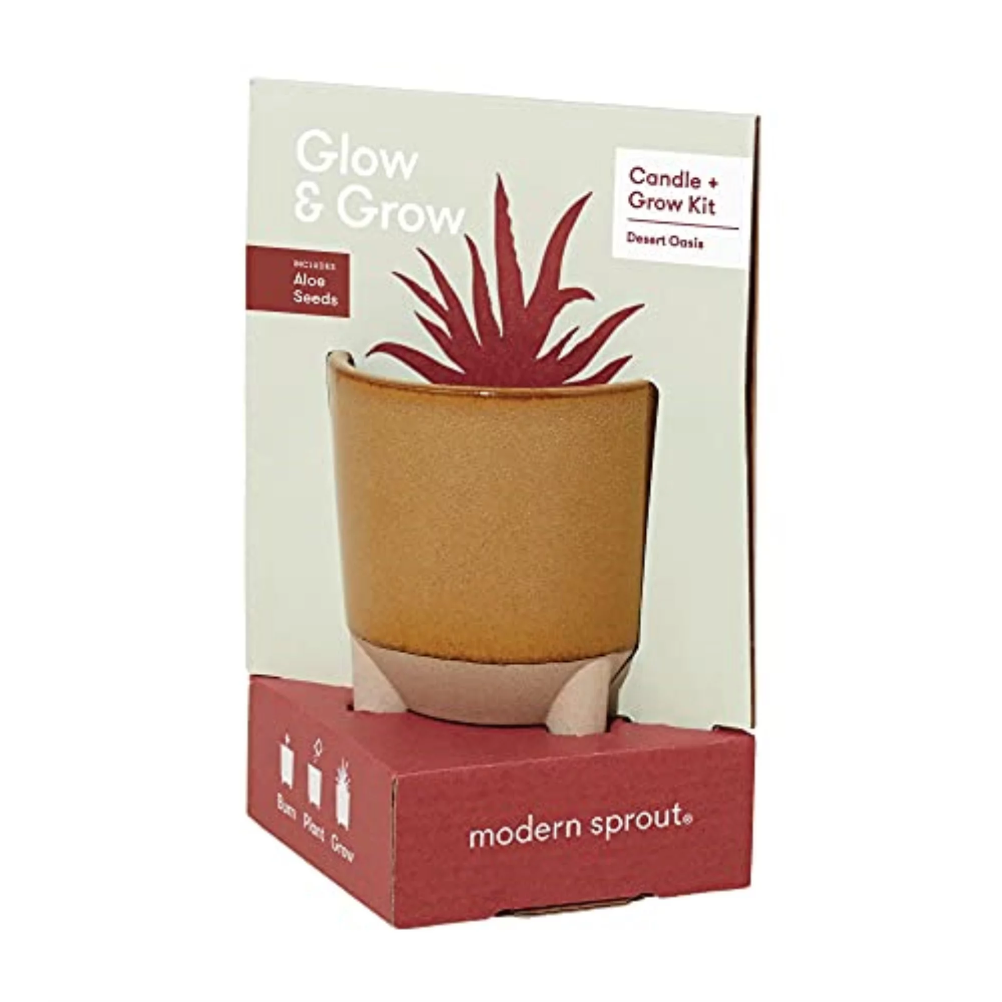7006067 GROW KIT ALL SEASON Modern Sprout Succulent Grow Kit (Pack of 1)