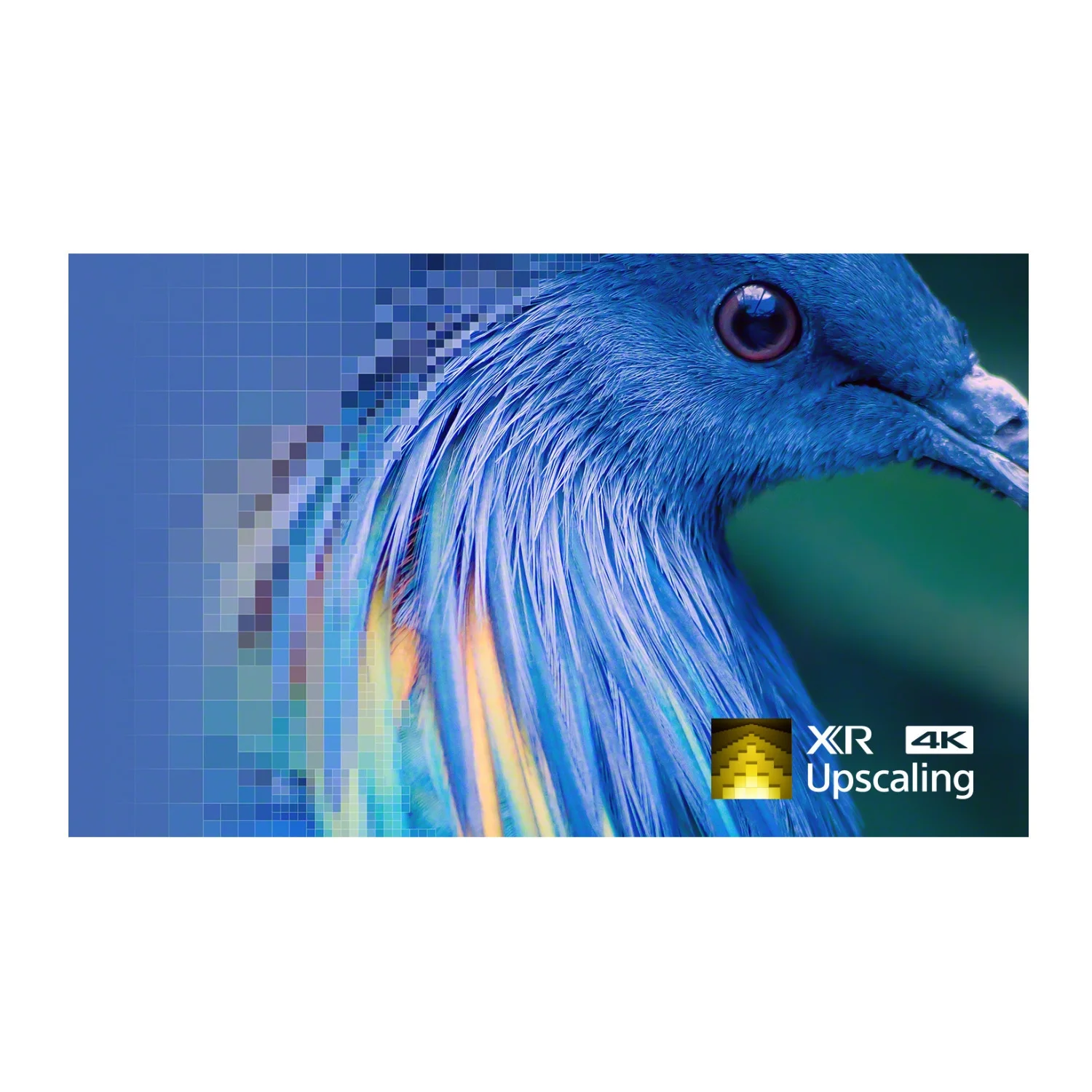 Sony BRAVIA XR 85 Class X93L 4K HDR TV (2023 Model) with Mount and Cable