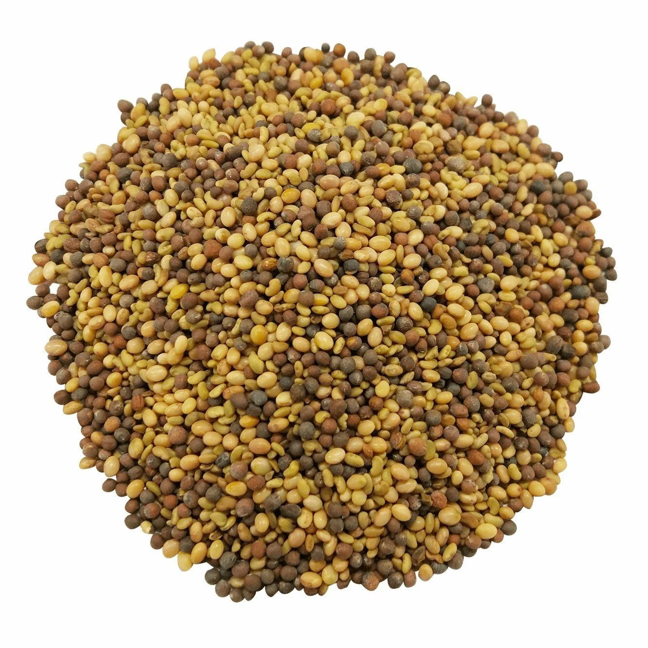 Antioxidant Mix of Sprouting Seeds, 5 Pounds, Kosher