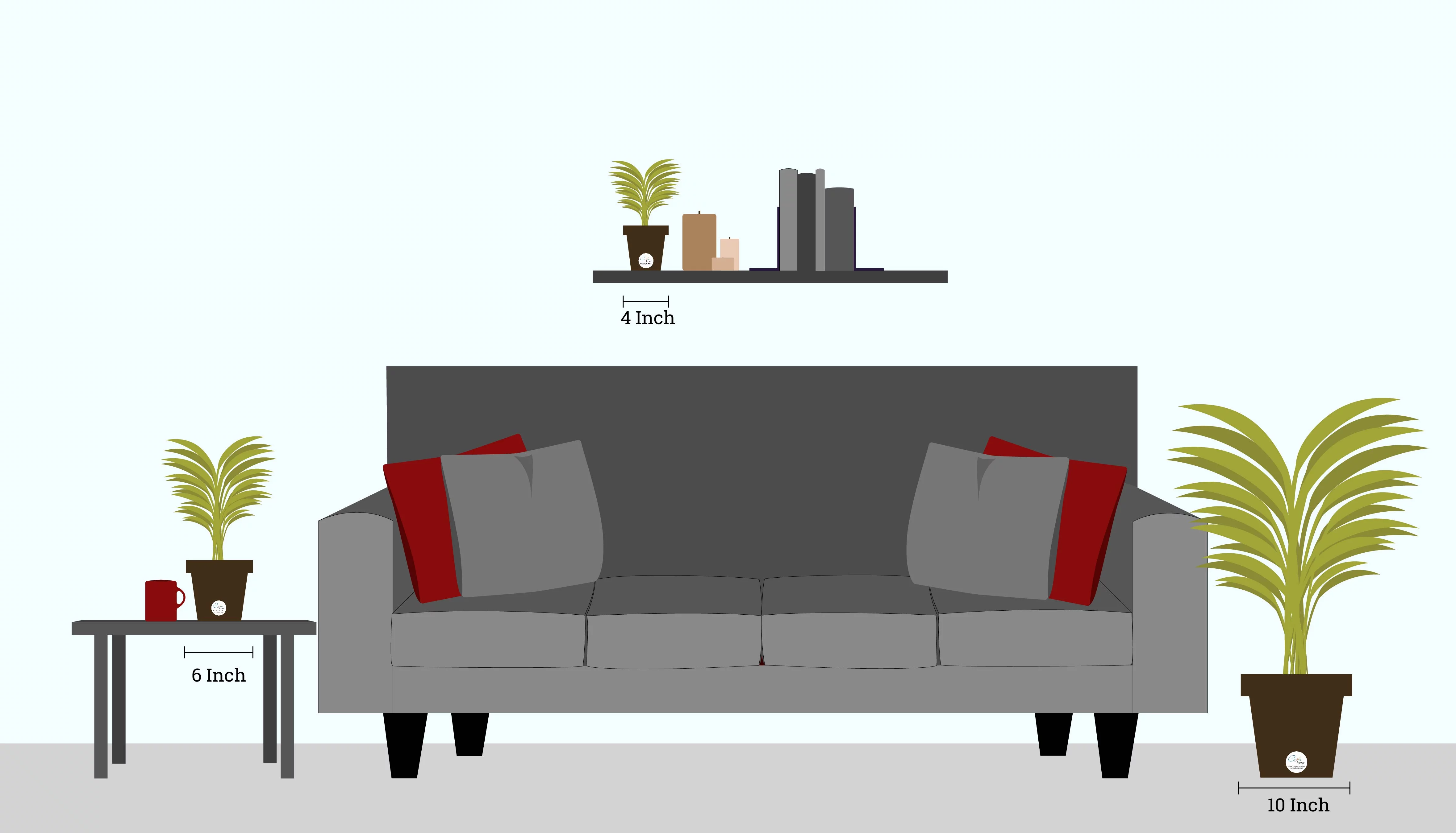 Costa Farms Better Homes & Gardens Live Indoor Multicolor Exotic Angel Plant in 6in. Pot