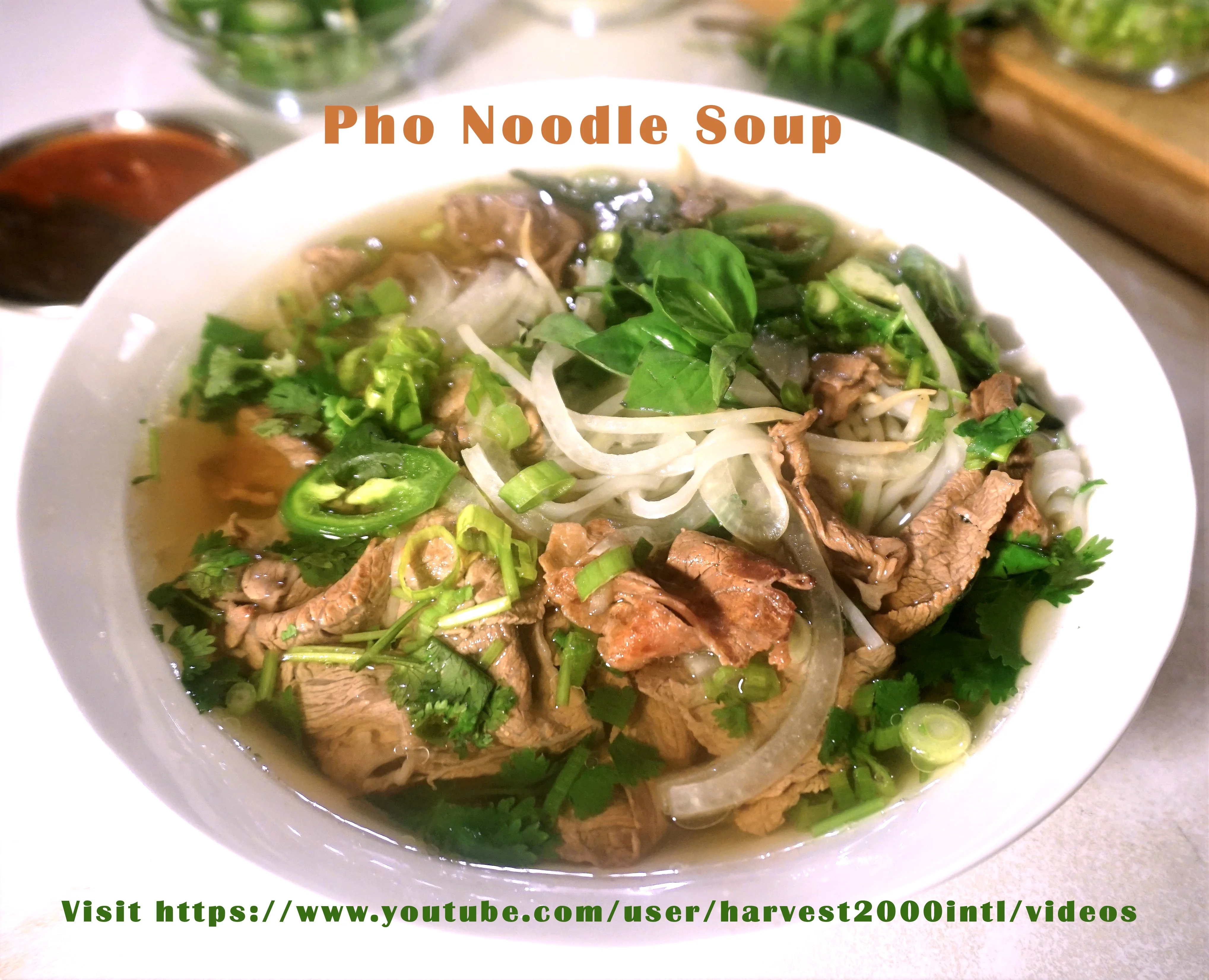 Harvest 2000 Vietnamese Pho Broth Base Mix (16 oz, 1 can)