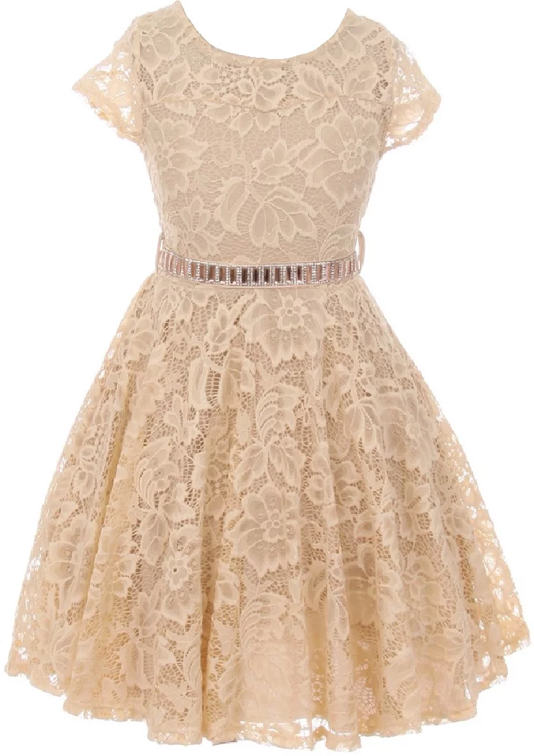 Lovely Floral Lace Rhinestones Skater Party Easter Flower Girl Dress for Little Girl Champagne 4 JK19.88S BNY Corner