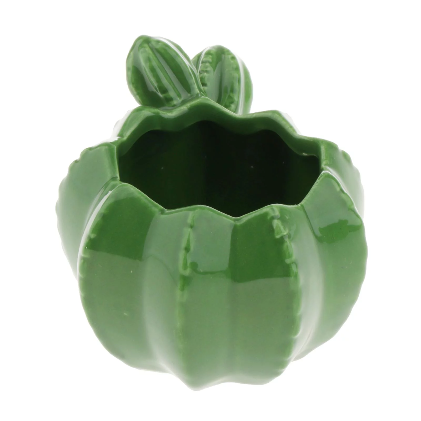 Ceramic Succulent Plant Pot/Cactus Plant Pot Flower Pot/Container/Planter