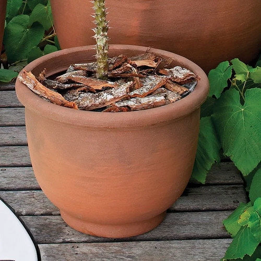 Crescent Garden Round Pot Planter