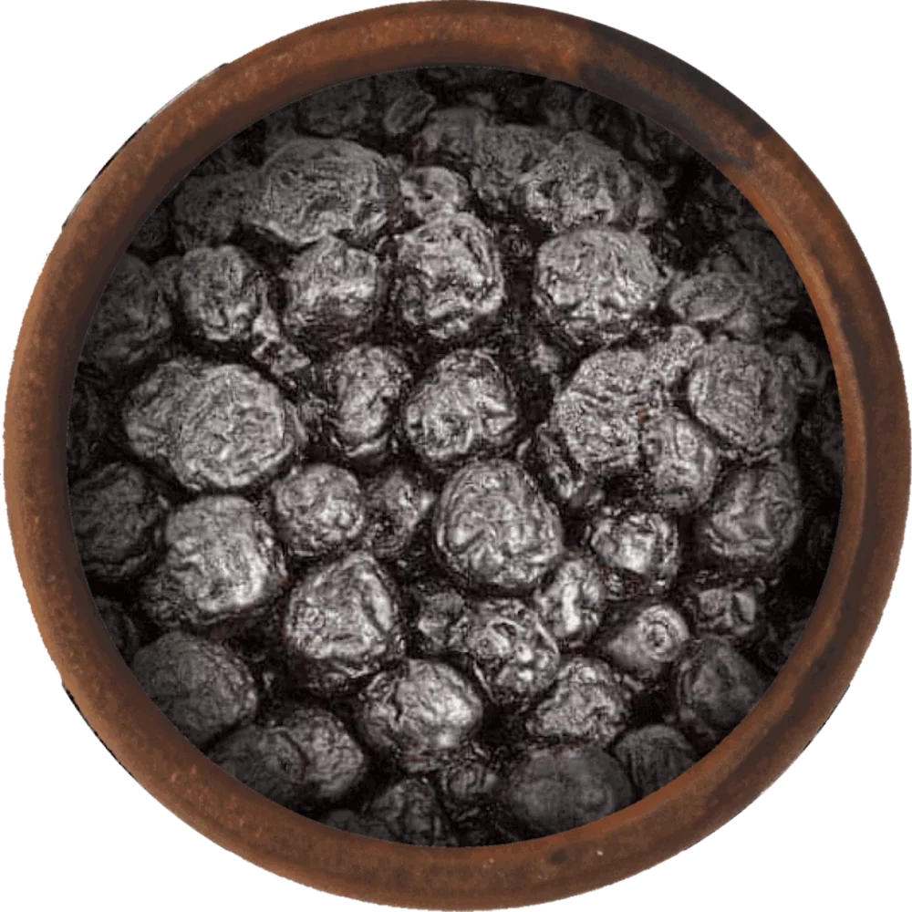 Bulk Dried Blueberries 10 Pound Wholesale Box