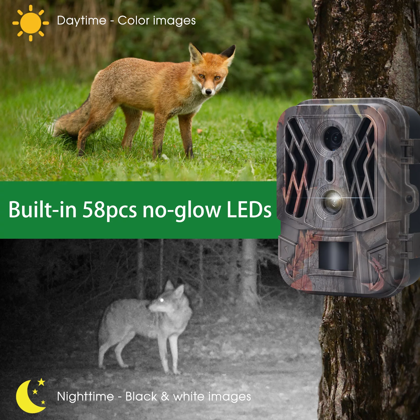 Andoer 36MP 4K Dual Lens Trail Camera with Motion Activation and Night Vision