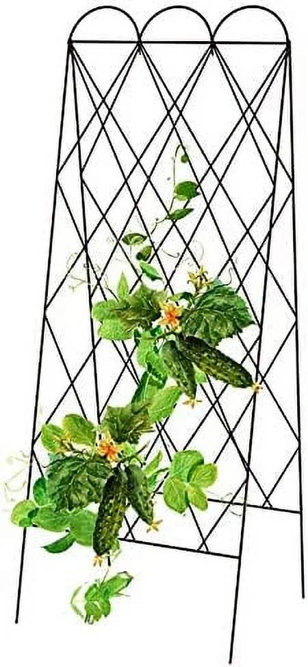Rustic Heirloom Folding Trellis, Brown, 60